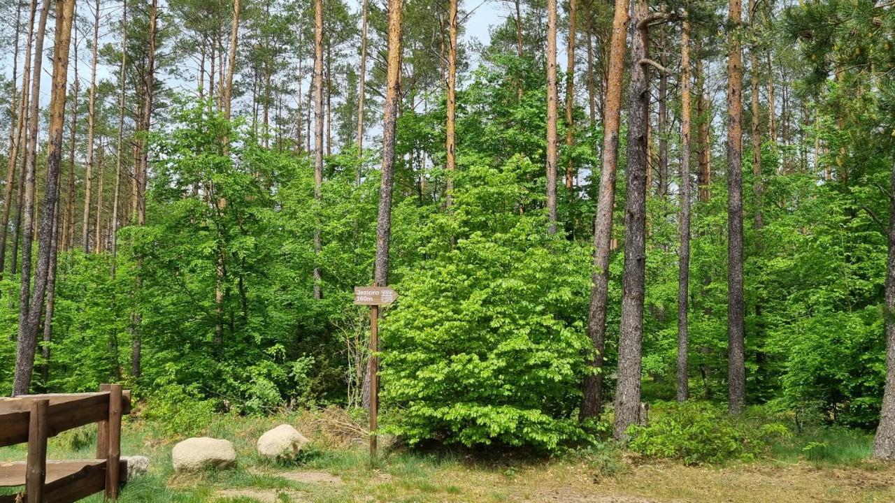 Ptasie Radio, Domek 48.2 Ostoja Bukowo Borowy Mlyn Eksteriør bilde